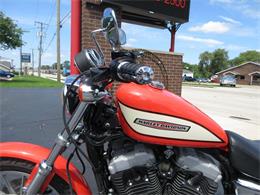 2004 Harley-Davidson Sportster (CC-2089102) for sale in Sterling, Illinois