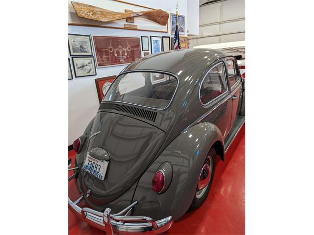 1965 Volkswagen Beetle (CC-2089119) for sale in Anacortes, Washington