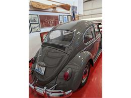 1965 Volkswagen Beetle (CC-2089119) for sale in Anacortes, Washington