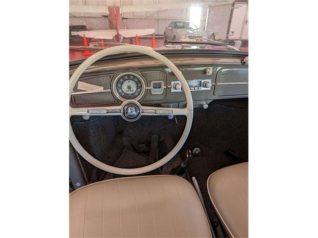 1965 Volkswagen Beetle (CC-2089119) for sale in Anacortes, Washington