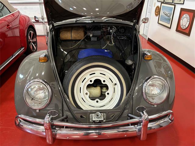 1965 Volkswagen Beetle (CC-2089119) for sale in Anacortes, Washington