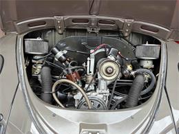 1965 Volkswagen Beetle (CC-2089119) for sale in Anacortes, Washington