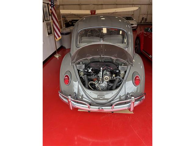 1965 Volkswagen Beetle (CC-2089119) for sale in Anacortes, Washington