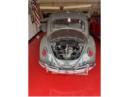 1965 Volkswagen Beetle (CC-2089119) for sale in Anacortes, Washington
