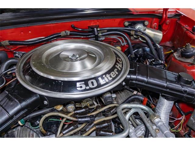 1982 Mercury Capri (CC-2089140) for sale in Kentwood, Michigan
