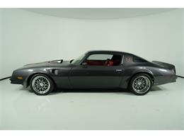 1977 Pontiac Firebird Trans Am (CC-2089172) for sale in Greensboro, North Carolina