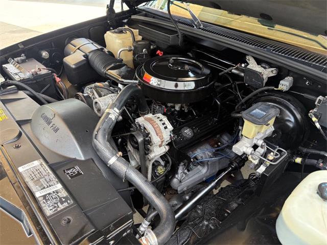 1994 Chevrolet 1500 (CC-2089181) for sale in Bradenton, Florida