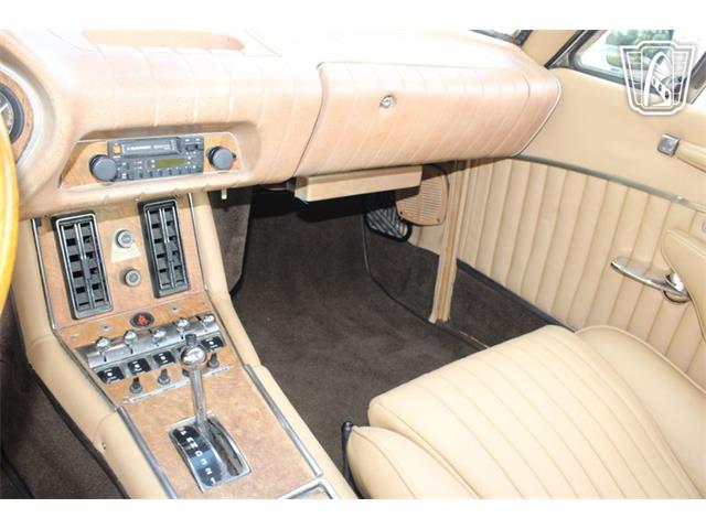 1982 Avanti Avanti II (CC-2089184) for sale in Houston, Texas