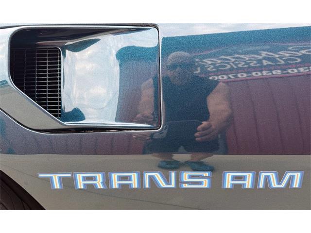 1979 Pontiac Firebird Trans Am (CC-2089318) for sale in Orrville, Ohio