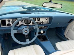 1979 Pontiac Firebird Trans Am (CC-2089318) for sale in Orrville, Ohio