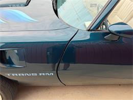 1979 Pontiac Firebird Trans Am (CC-2089318) for sale in Orrville, Ohio