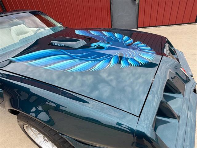 1979 Pontiac Firebird Trans Am (CC-2089318) for sale in Orrville, Ohio