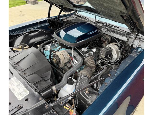 1979 Pontiac Firebird Trans Am (CC-2089318) for sale in Orrville, Ohio