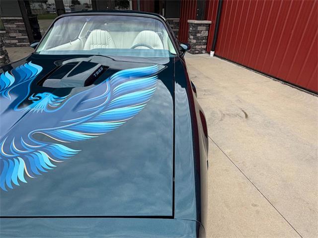 1979 Pontiac Firebird Trans Am (CC-2089318) for sale in Orrville, Ohio