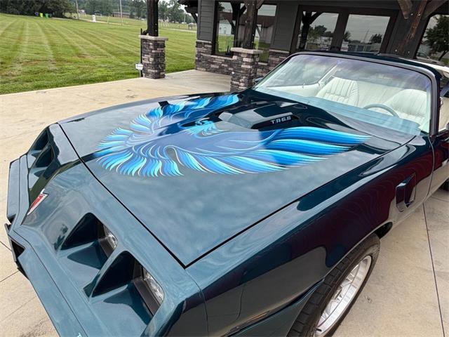 1979 Pontiac Firebird Trans Am (CC-2089318) for sale in Orrville, Ohio