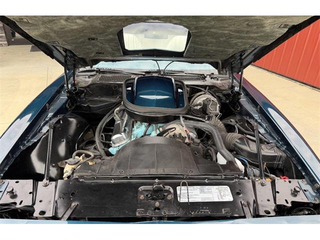 1979 Pontiac Firebird Trans Am (CC-2089318) for sale in Orrville, Ohio