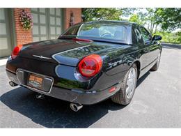 2002 Ford Thunderbird (CC-2089335) for sale in Washington, Michigan