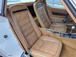 1974 Chevrolet Corvette (CC-2089421) for sale in Cadillac, Michigan