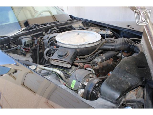 1979 Chevrolet Corvette (CC-2080950) for sale in Houston, Texas