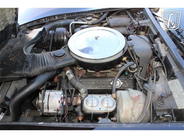 1979 Chevrolet Corvette (CC-2080950) for sale in Houston, Texas