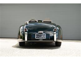 1954 Jaguar XK120 (CC-2089503) for sale in Wayne, Pennsylvania