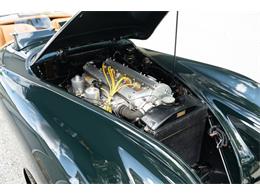 1954 Jaguar XK120 (CC-2089503) for sale in Wayne, Pennsylvania