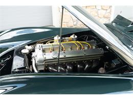 1954 Jaguar XK120 (CC-2089503) for sale in Wayne, Pennsylvania