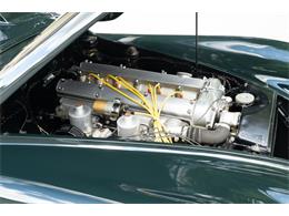 1954 Jaguar XK120 (CC-2089503) for sale in Wayne, Pennsylvania