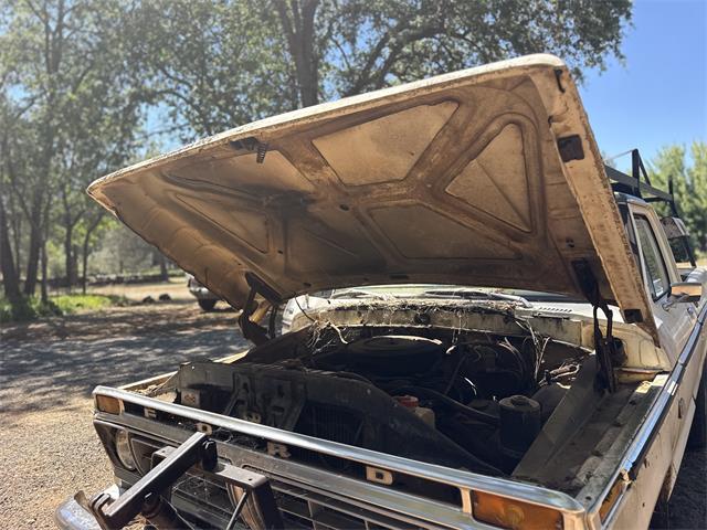 1973 Ford F100 (CC-2089520) for sale in Redding , California