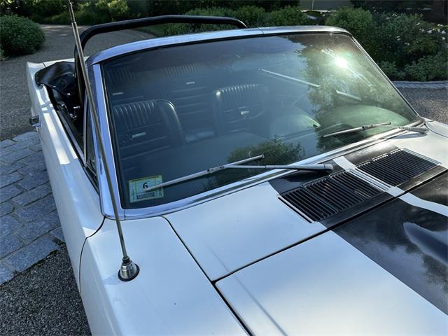 1965 Ford Mustang (CC-2089536) for sale in Hingham, Massachusetts