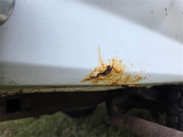 1993 Ford F150 (CC-2089549) for sale in Cadillac, Michigan