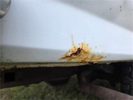 1993 Ford F150 (CC-2089549) for sale in Cadillac, Michigan