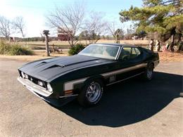 1971 Ford Mustang (CC-2089553) for sale in Cadillac, Michigan