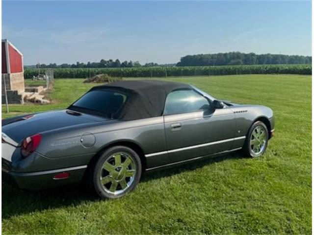 2003 Ford Thunderbird (CC-2089562) for sale in Cadillac, Michigan