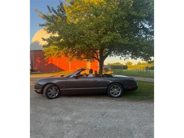 2003 Ford Thunderbird (CC-2089562) for sale in Cadillac, Michigan