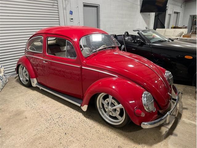 1957 Volkswagen Beetle (CC-2080957) for sale in Greensboro, North Carolina