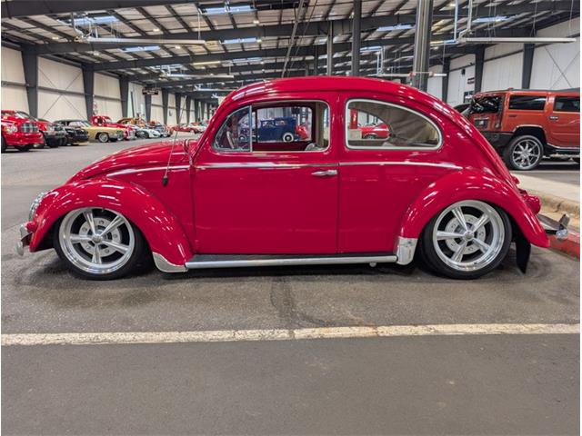 1957 Volkswagen Beetle (CC-2080957) for sale in Greensboro, North Carolina