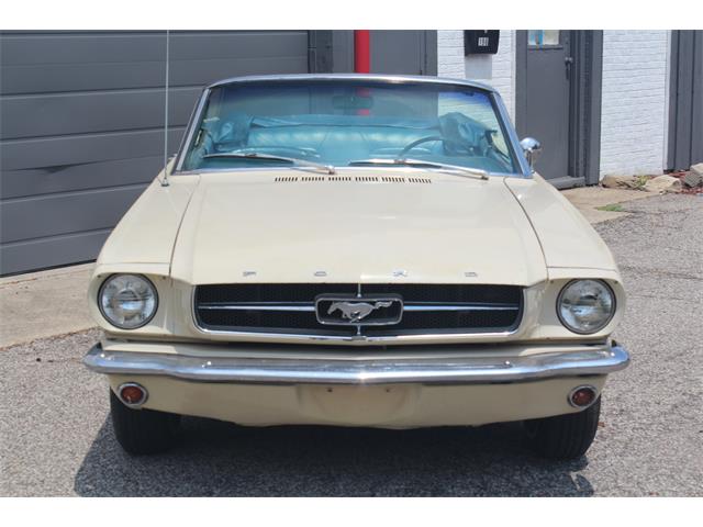 1965 Ford Mustang (CC-2089610) for sale in Elyria, Ohio