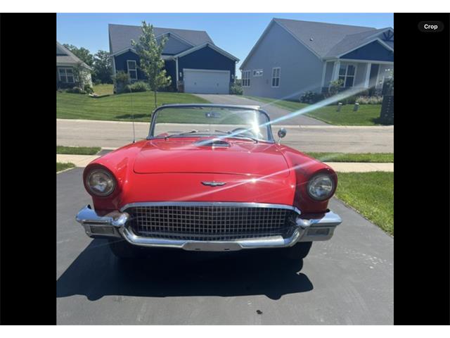 1957 Ford Thunderbird (CC-2089646) for sale in Rogers, Minnesota