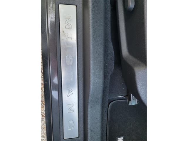 2008 Ford Mustang (CC-2089685) for sale in Greensboro, North Carolina
