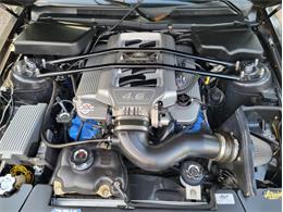 2008 Ford Mustang (CC-2089685) for sale in Greensboro, North Carolina