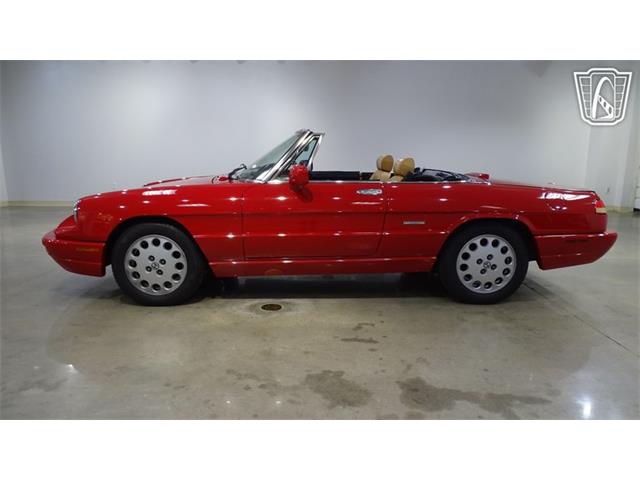 1991 Alfa Romeo Spider Veloce (CC-2089692) for sale in O'Fallon, Illinois