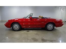 1991 Alfa Romeo Spider Veloce (CC-2089692) for sale in O'Fallon, Illinois