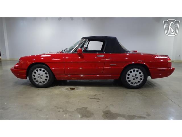 1991 Alfa Romeo Spider Veloce (CC-2089692) for sale in O'Fallon, Illinois