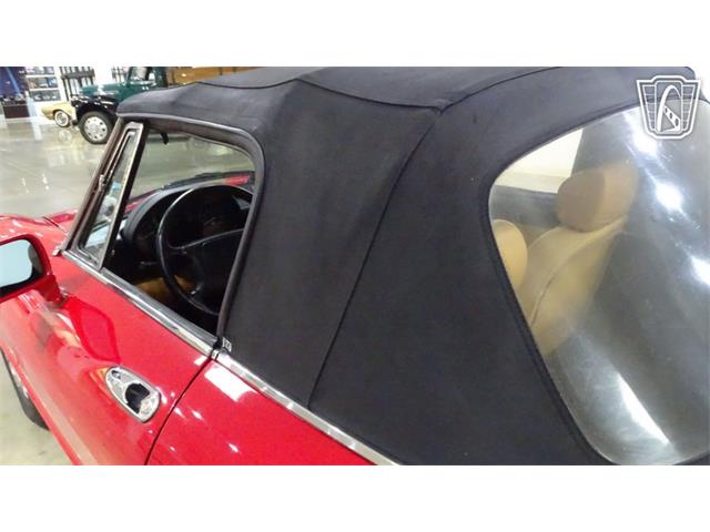 1991 Alfa Romeo Spider Veloce (CC-2089692) for sale in O'Fallon, Illinois