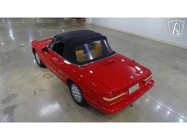 1991 Alfa Romeo Spider Veloce (CC-2089692) for sale in O'Fallon, Illinois