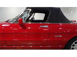 1991 Alfa Romeo Spider Veloce (CC-2089692) for sale in O'Fallon, Illinois