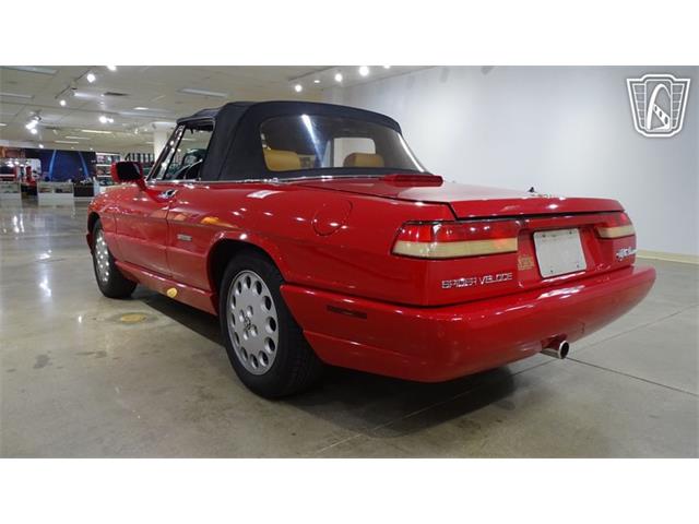 1991 Alfa Romeo Spider Veloce (CC-2089692) for sale in O'Fallon, Illinois