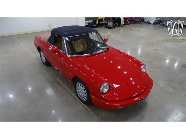 1991 Alfa Romeo Spider Veloce (CC-2089692) for sale in O'Fallon, Illinois
