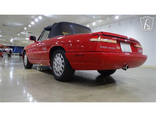 1991 Alfa Romeo Spider Veloce (CC-2089692) for sale in O'Fallon, Illinois